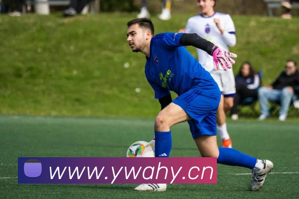 云开app官方版入口平台生态图